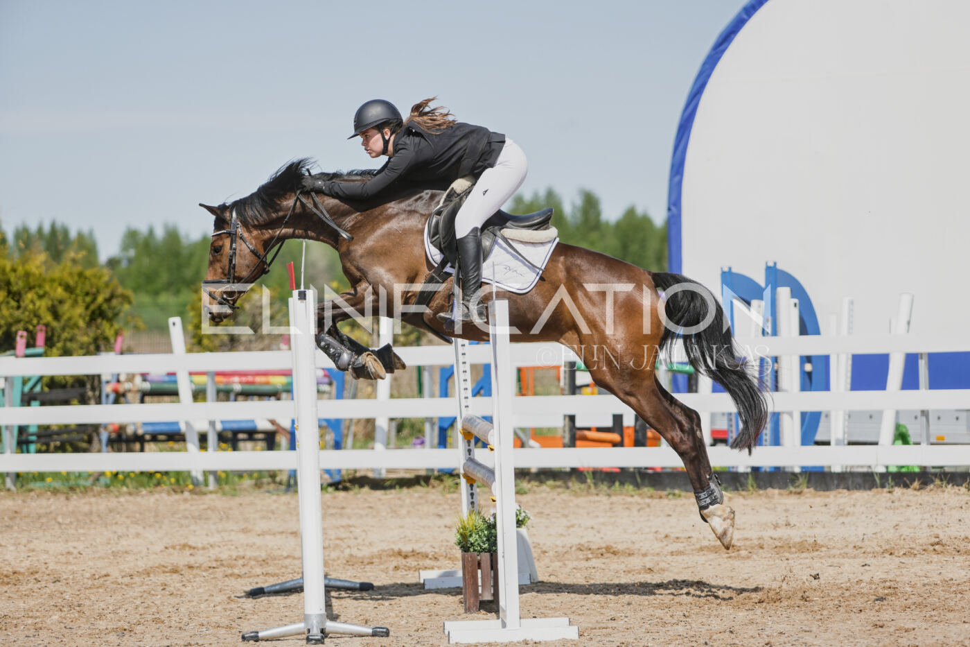 Gramina_Kevad_2026_100_386