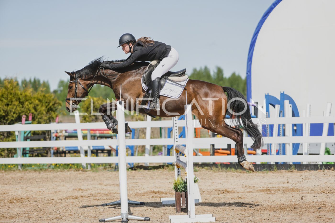 Gramina_Kevad_2026_100_387