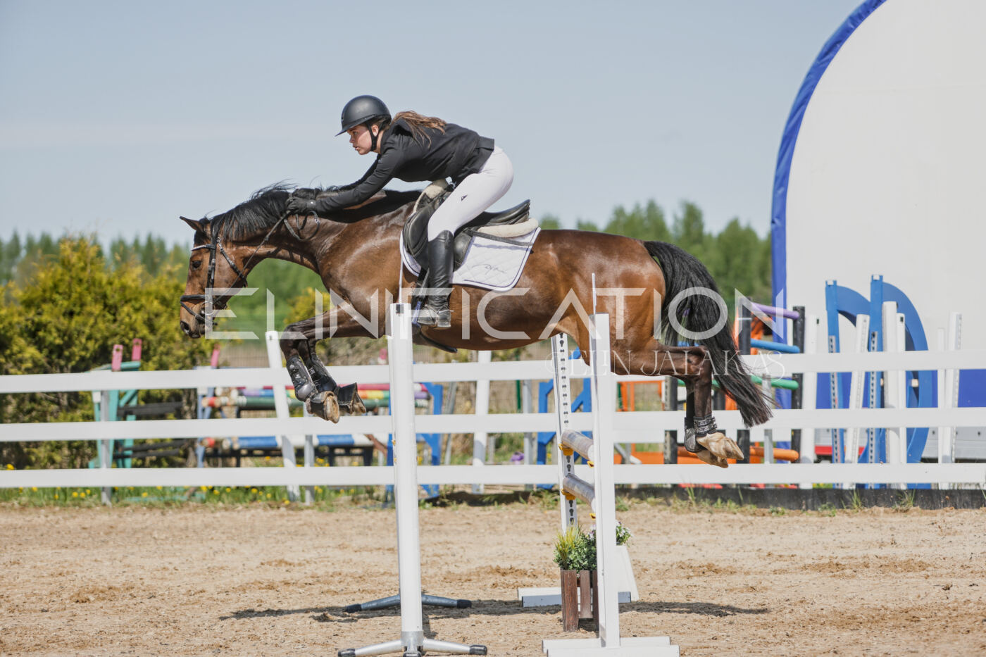 Gramina_Kevad_2026_100_388