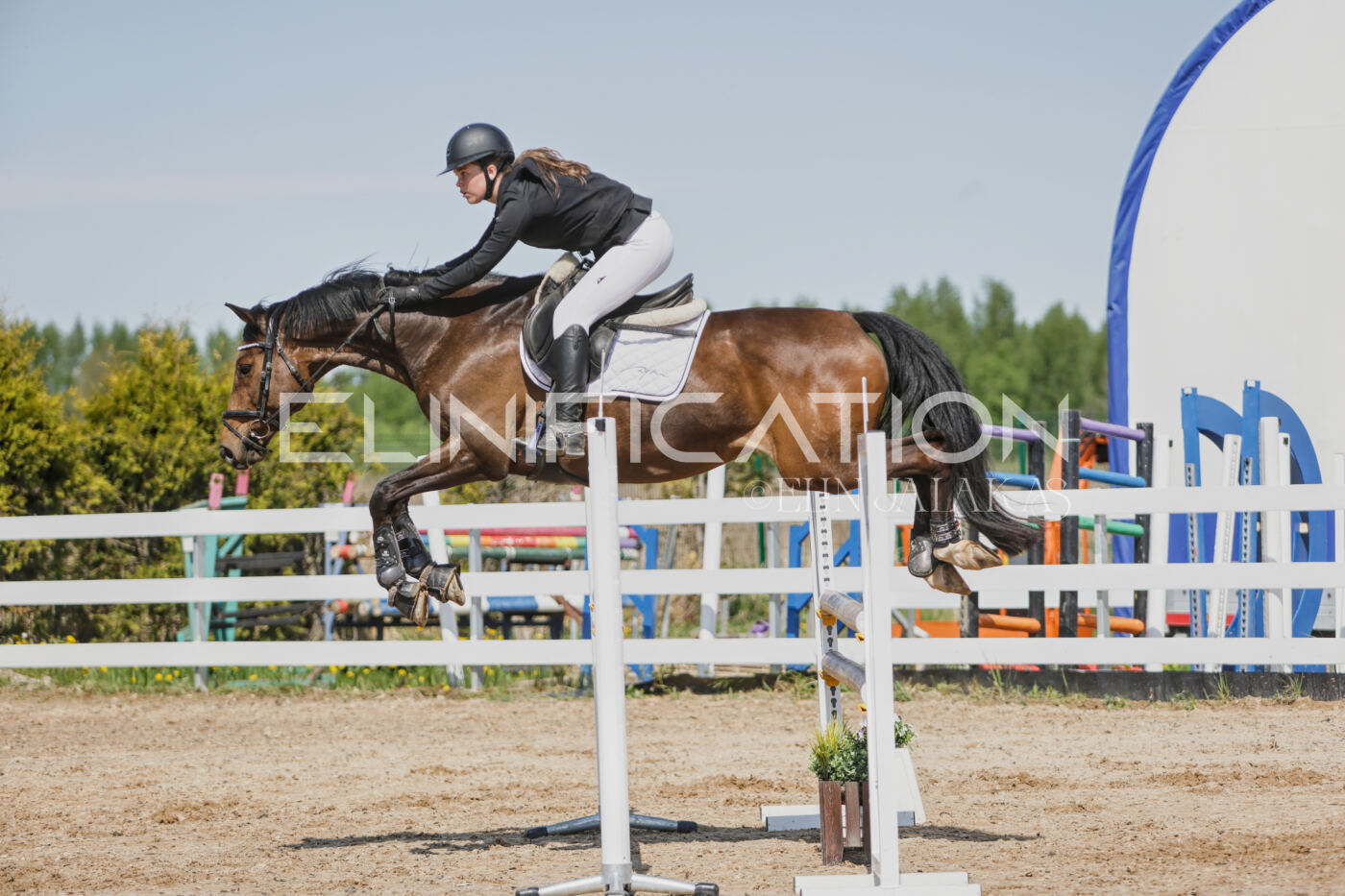Gramina_Kevad_2026_100_389