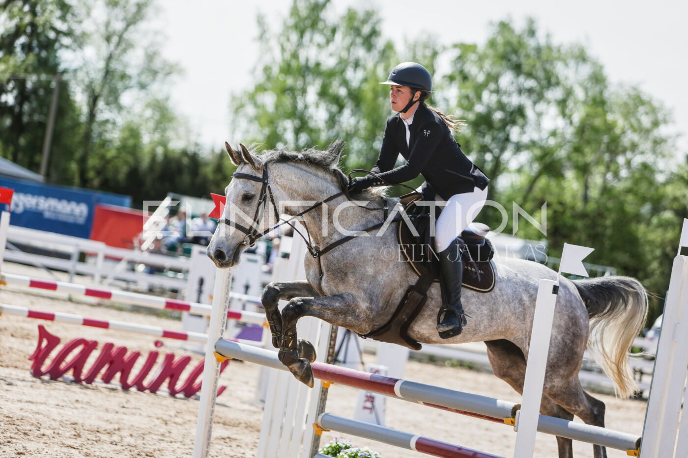 Gramina_Kevad_2026_100_393