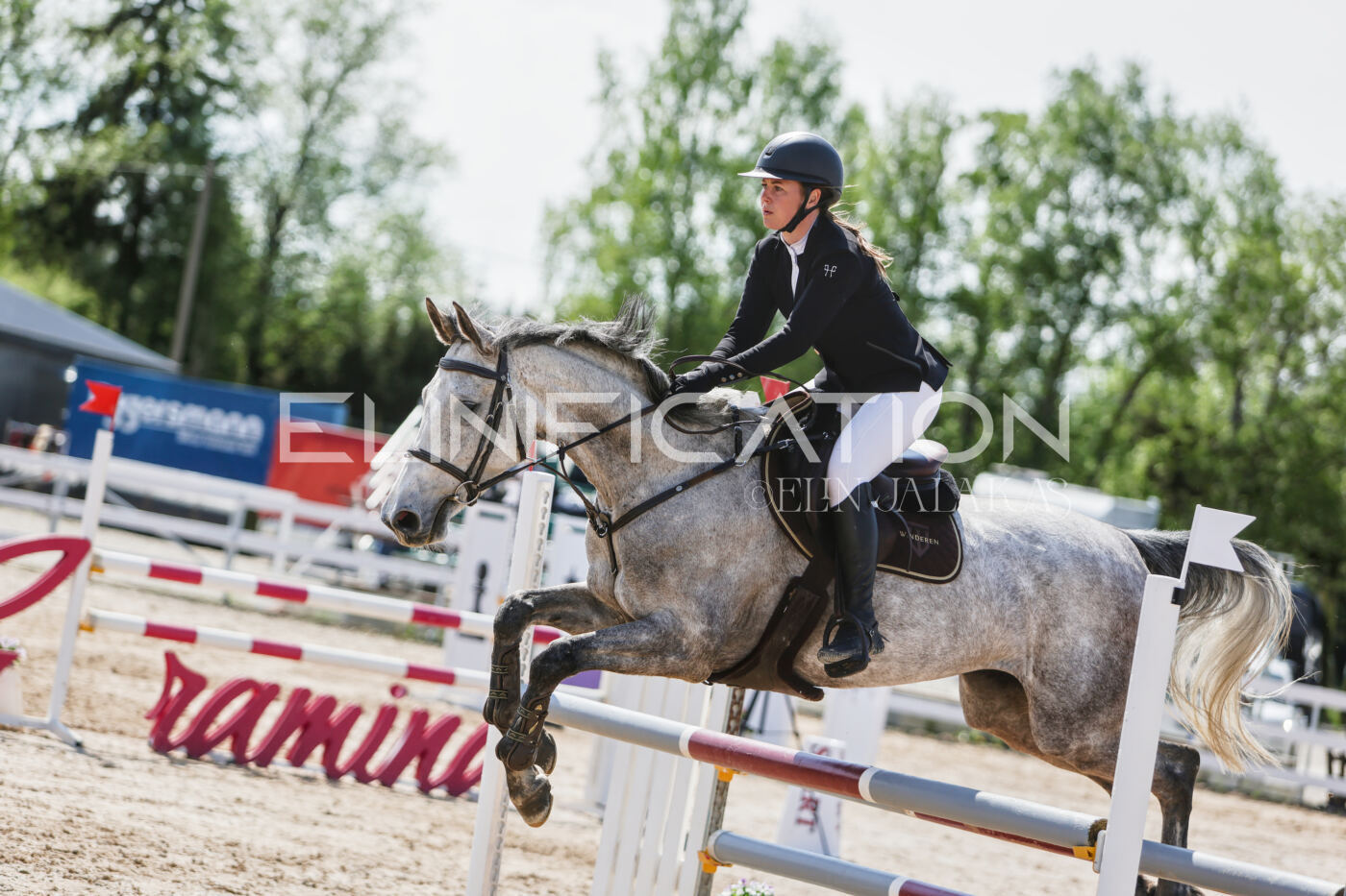 Gramina_Kevad_2026_100_394