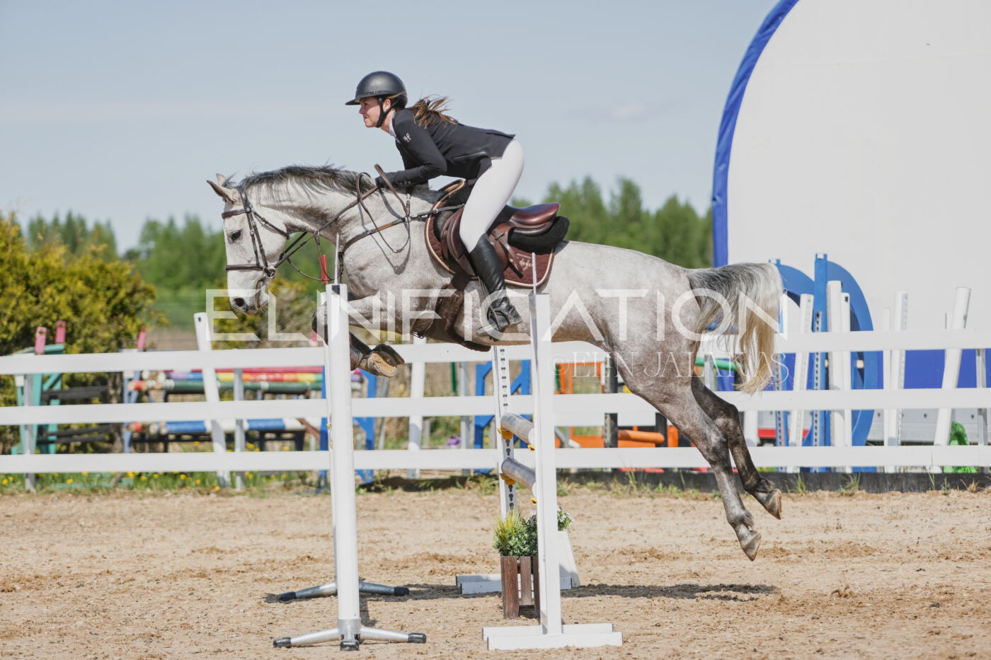 Gramina_Kevad_2026_100_399