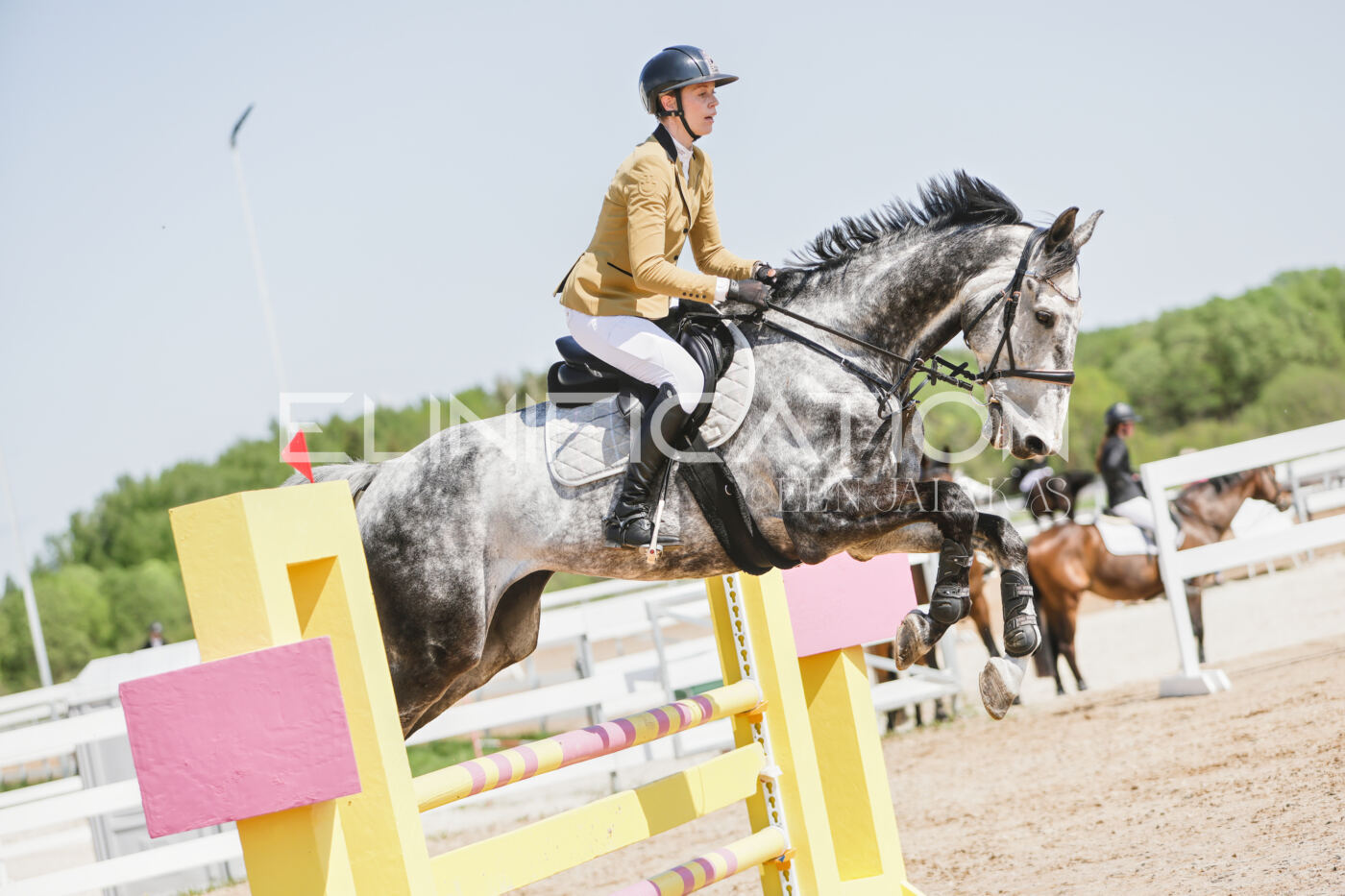 Gramina_Kevad_2026_100_409