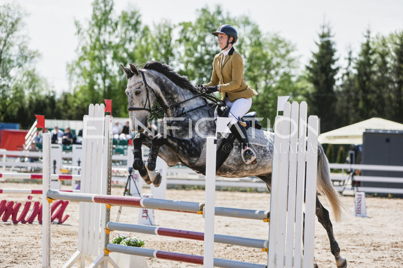 Gramina_Kevad_2026_100_411