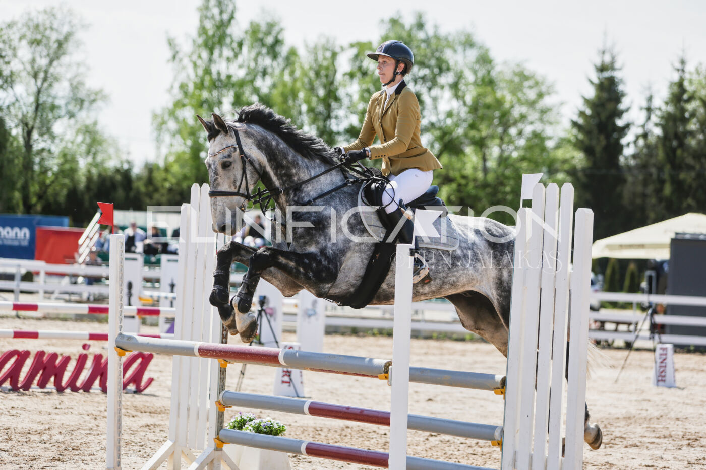 Gramina_Kevad_2026_100_412