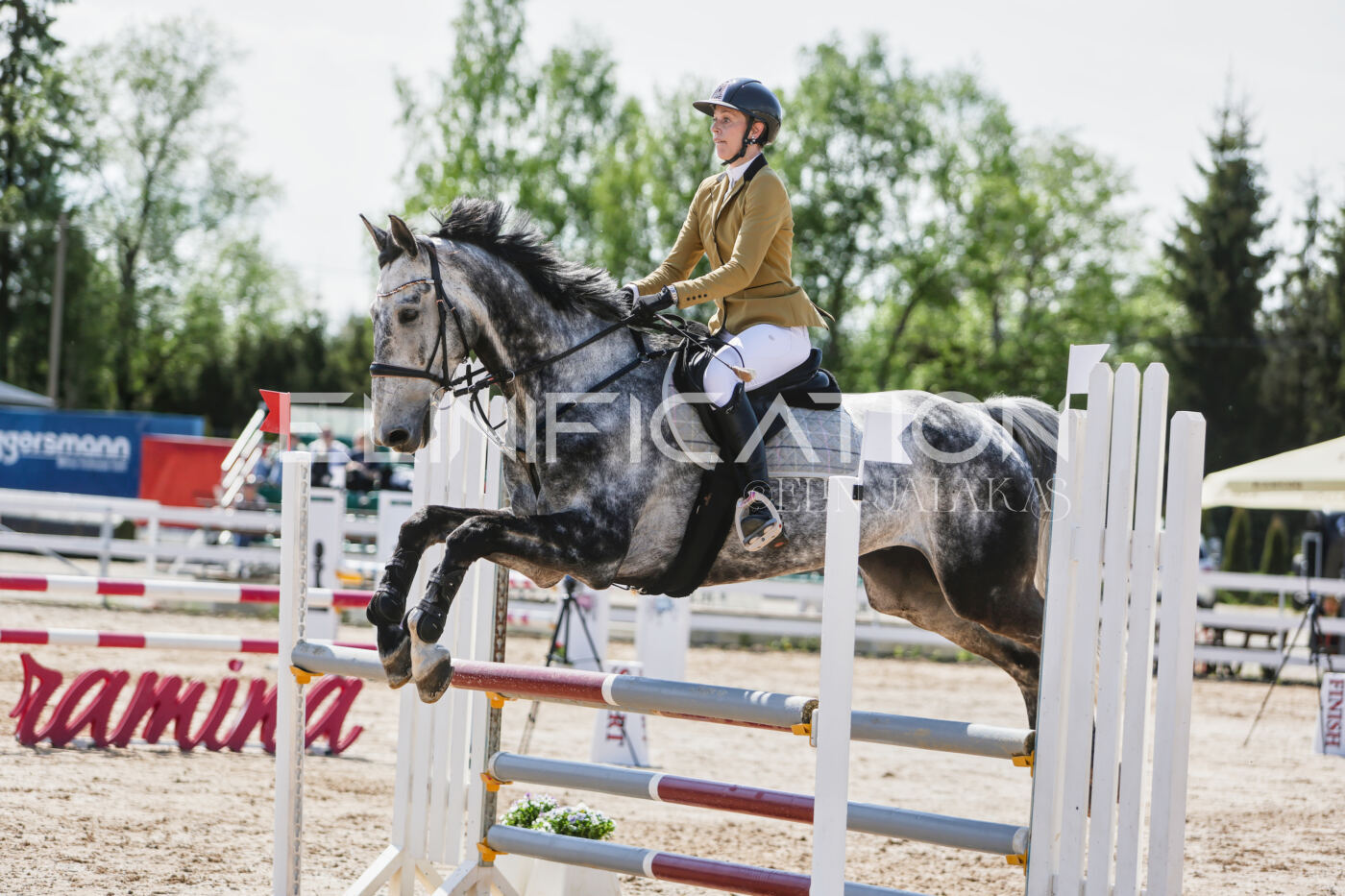 Gramina_Kevad_2026_100_413