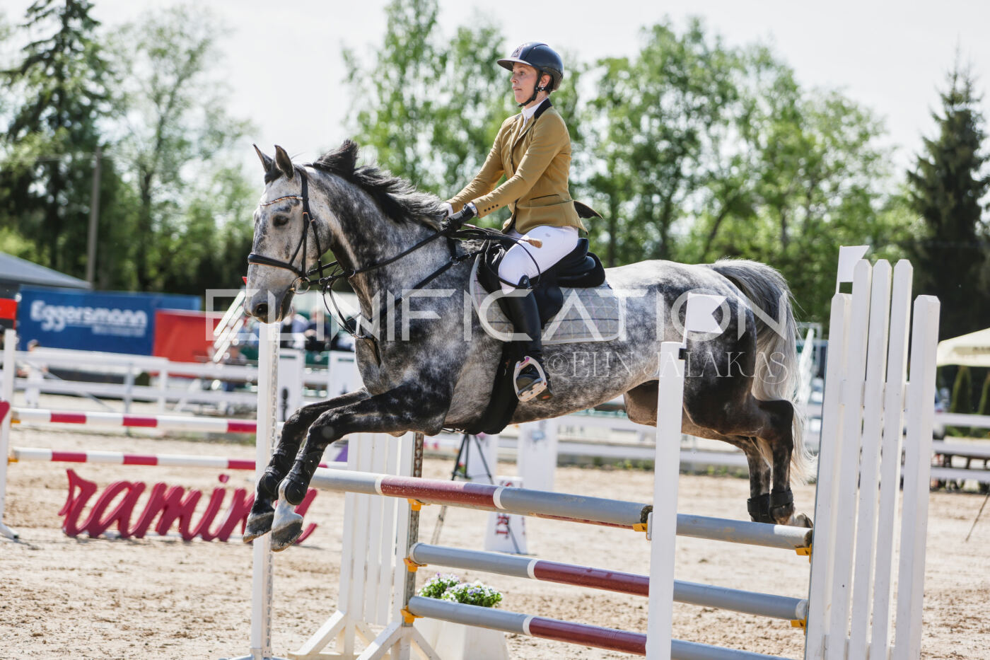Gramina_Kevad_2026_100_414