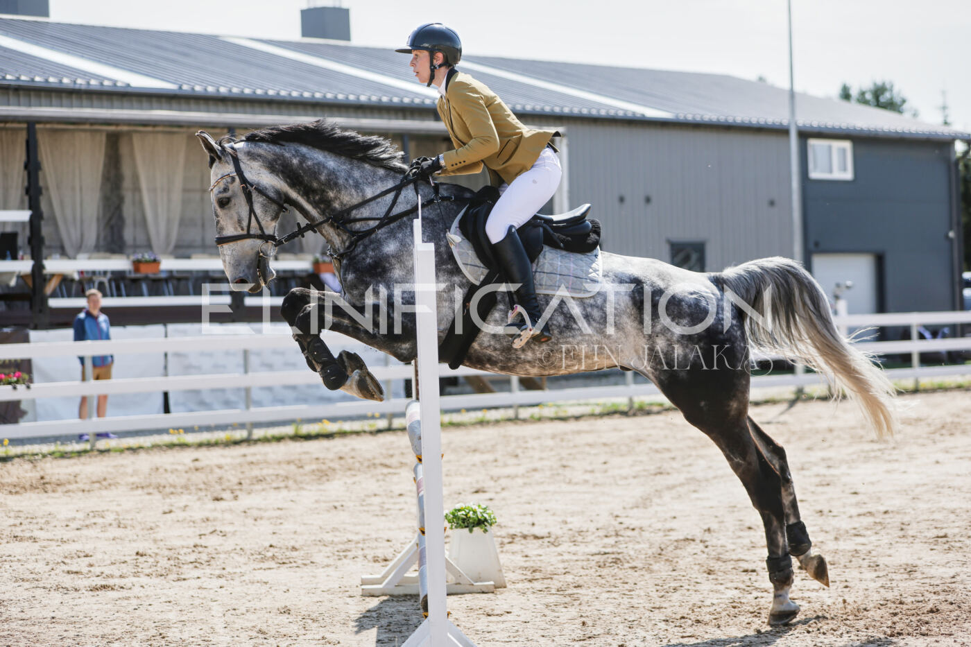 Gramina_Kevad_2026_100_415