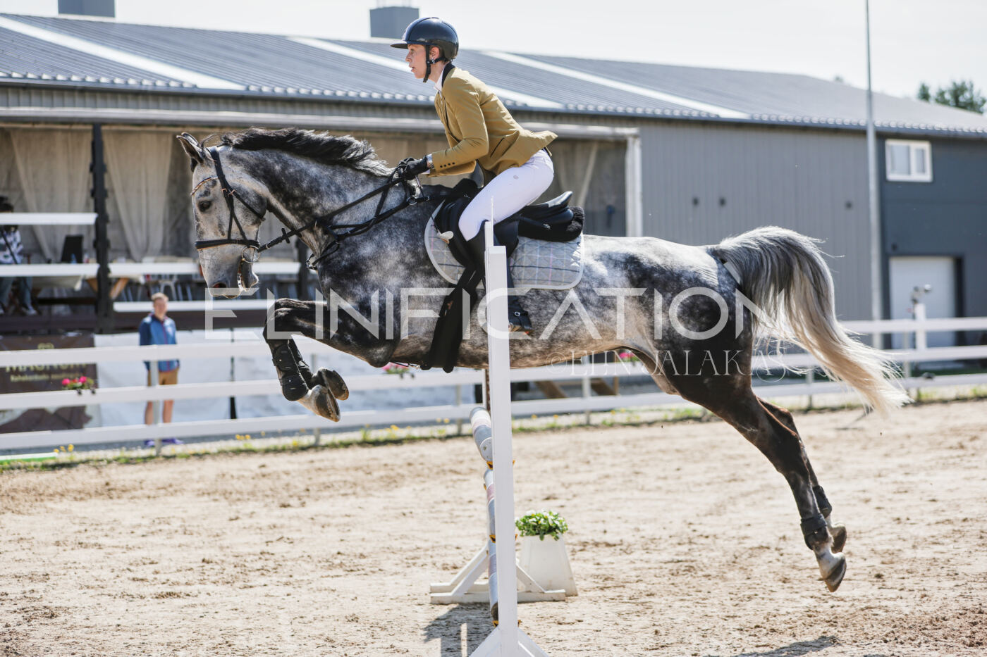 Gramina_Kevad_2026_100_416