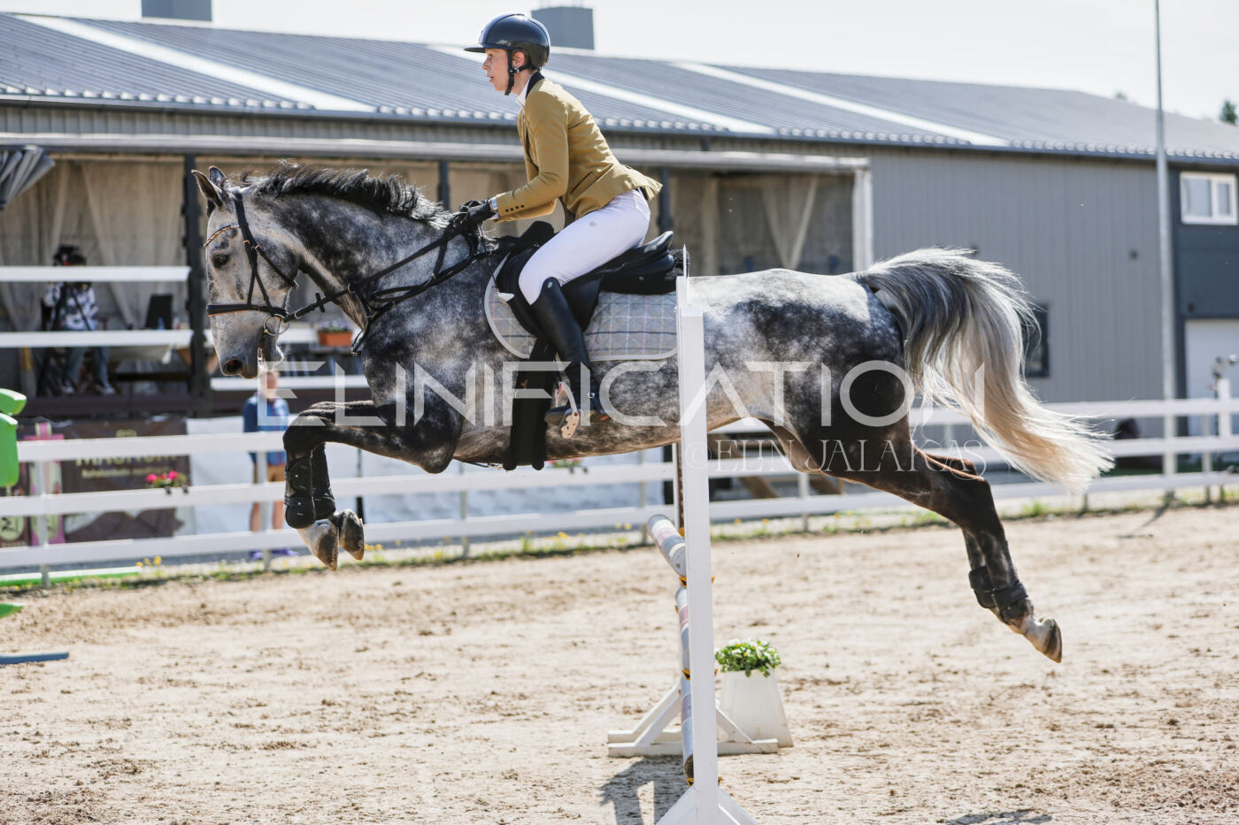 Gramina_Kevad_2026_100_417