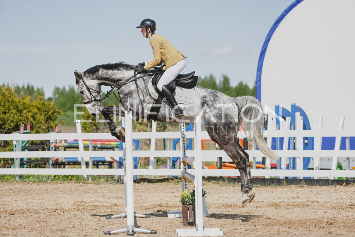 Gramina_Kevad_2026_100_418