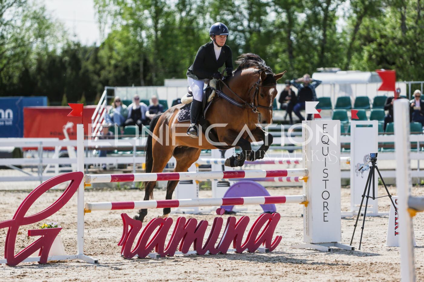 Gramina_Kevad_2026_100_423