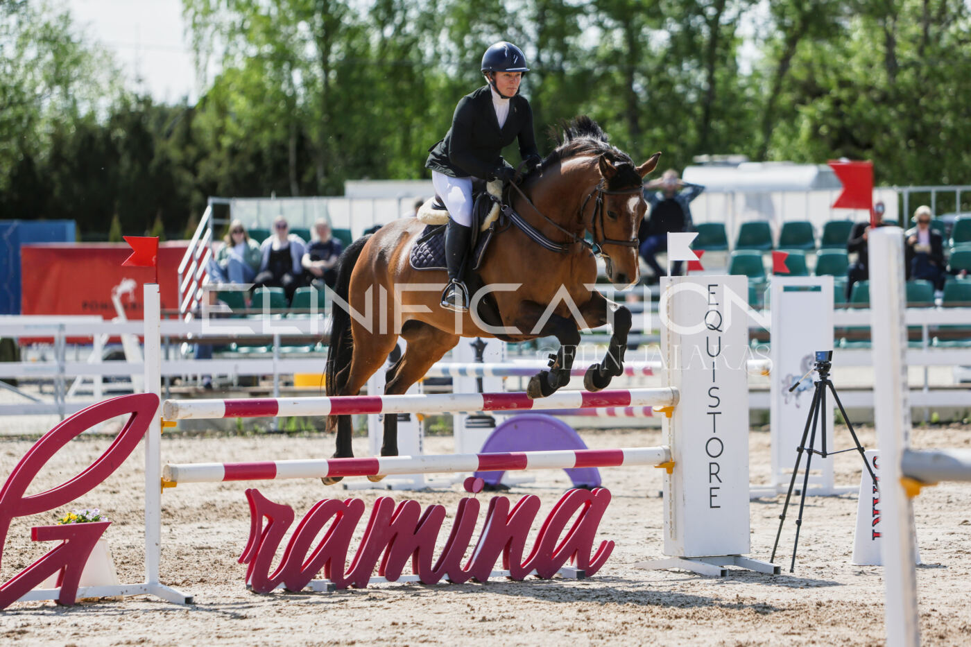 Gramina_Kevad_2026_100_424