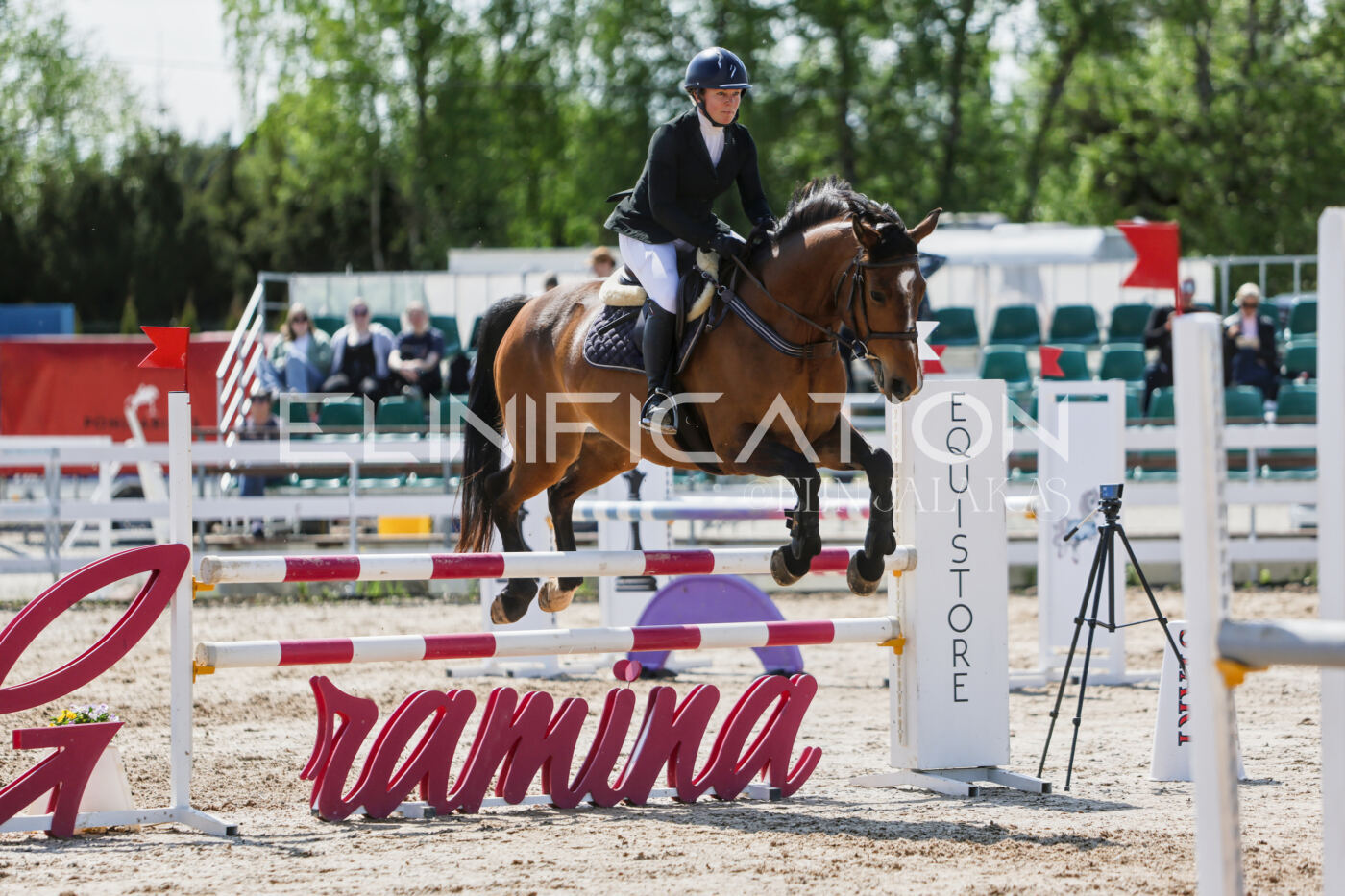 Gramina_Kevad_2026_100_425