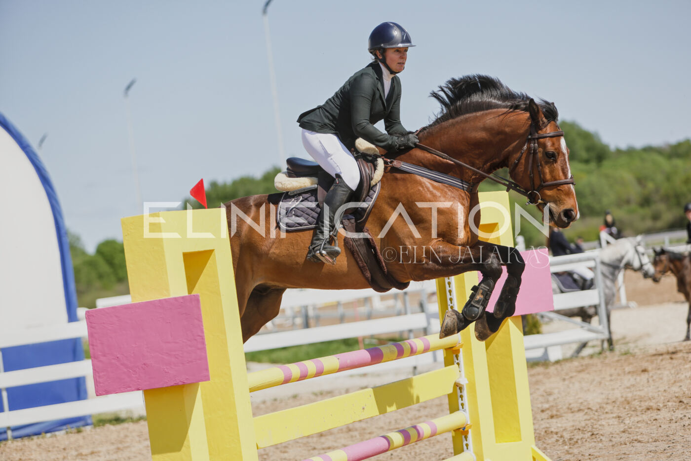 Gramina_Kevad_2026_100_426