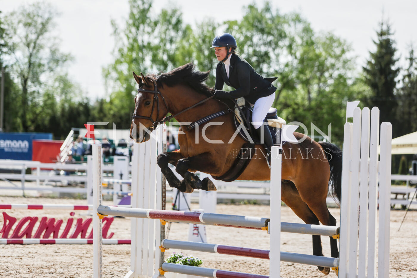 Gramina_Kevad_2026_100_427