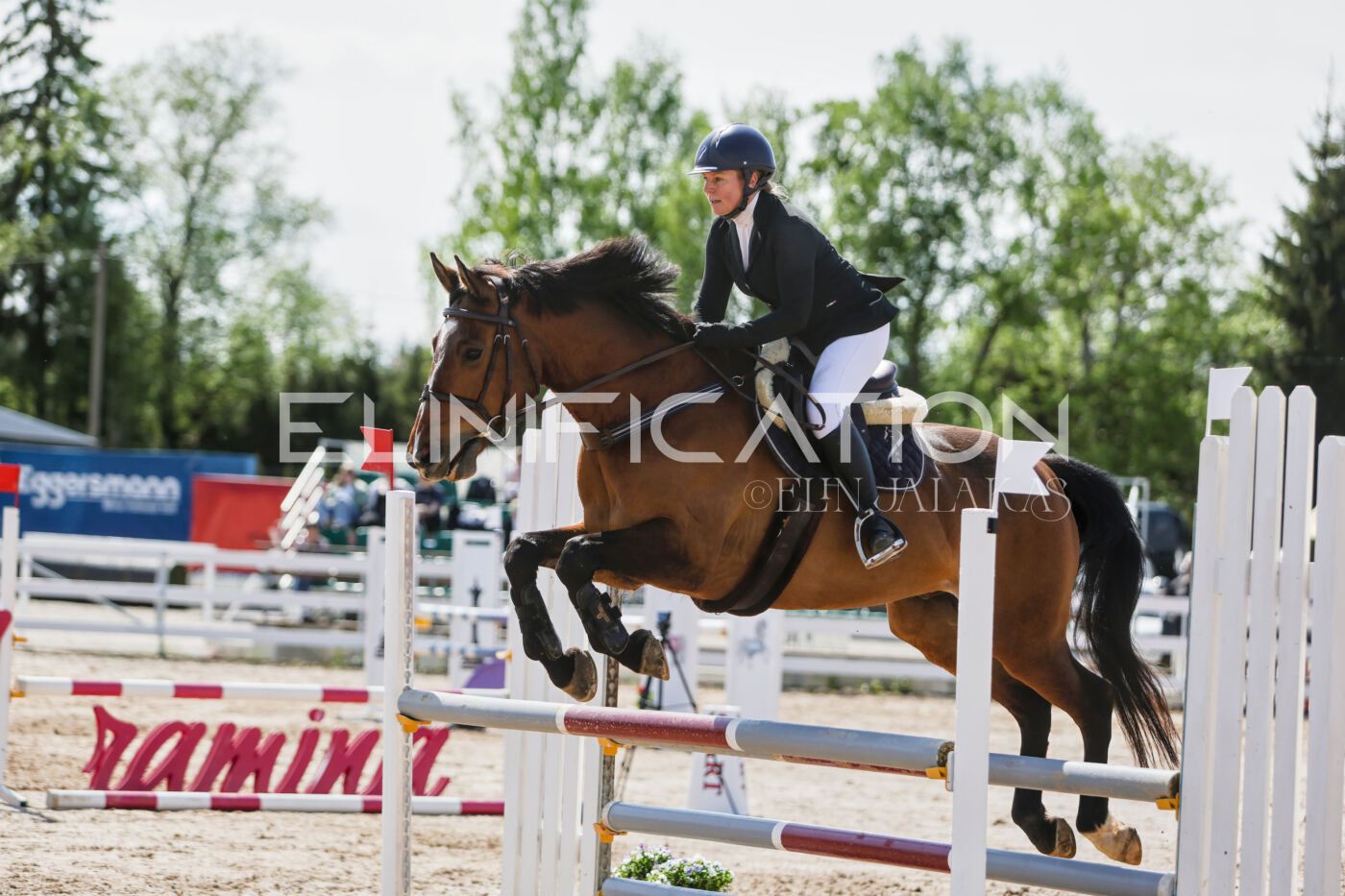 Gramina_Kevad_2026_100_428