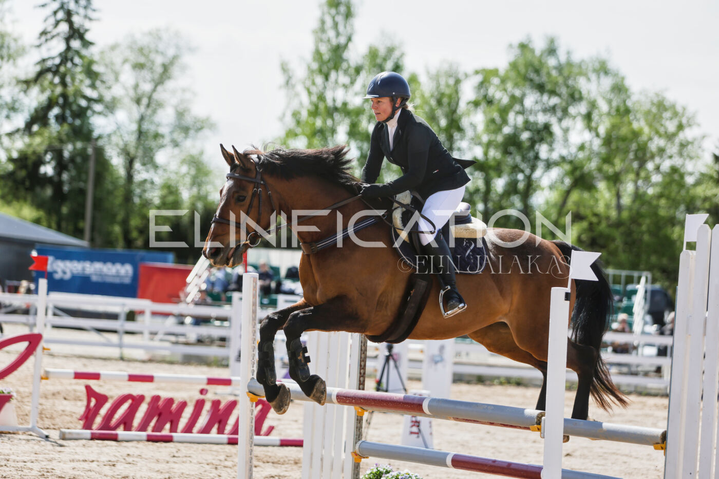 Gramina_Kevad_2026_100_429