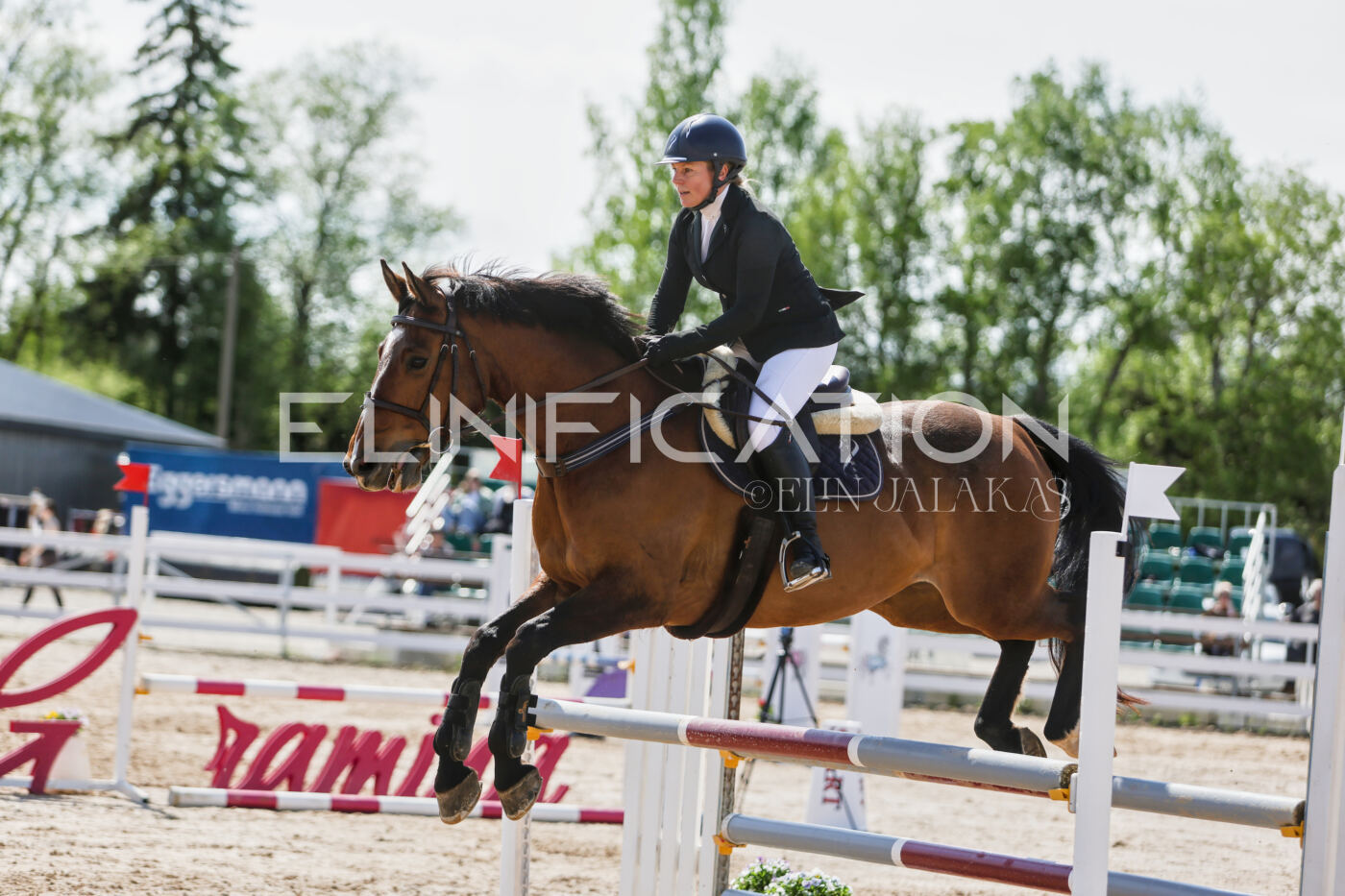 Gramina_Kevad_2026_100_430