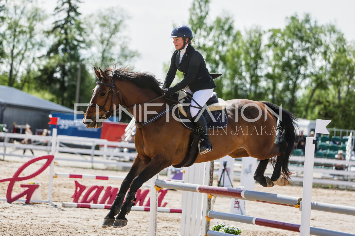 Gramina_Kevad_2026_100_431