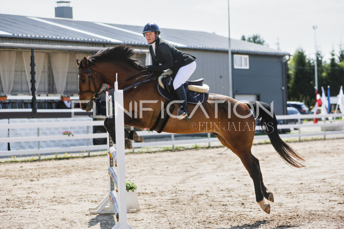 Gramina_Kevad_2026_100_432