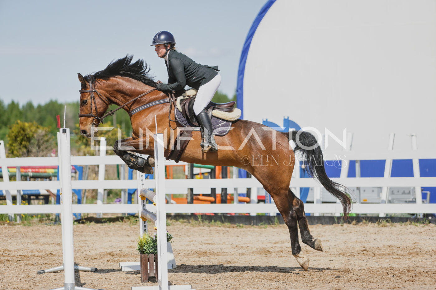 Gramina_Kevad_2026_100_436