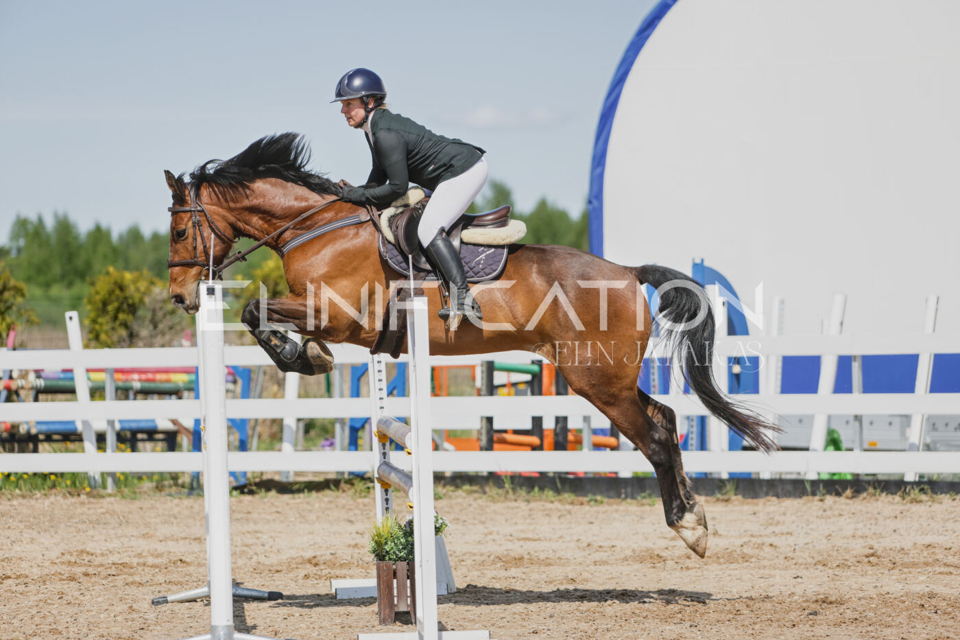 Gramina_Kevad_2026_100_437