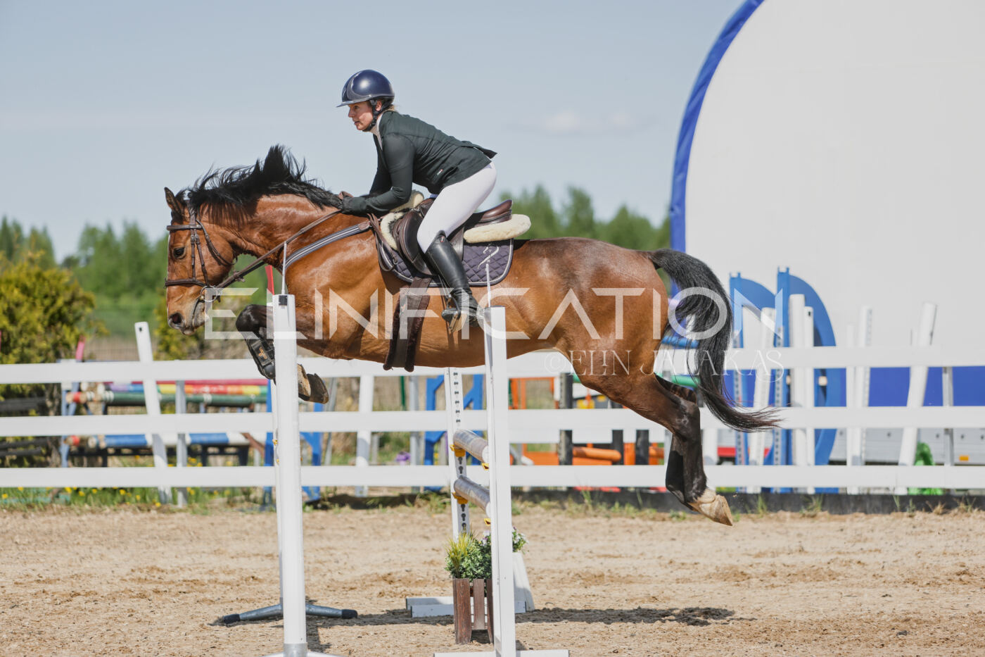 Gramina_Kevad_2026_100_438