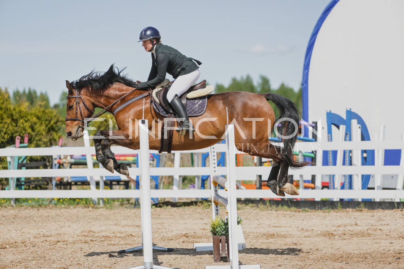 Gramina_Kevad_2026_100_439