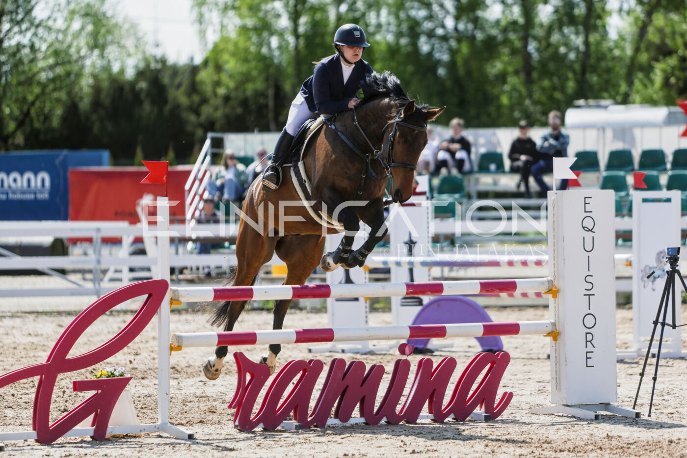 Gramina_Kevad_2026_100_440