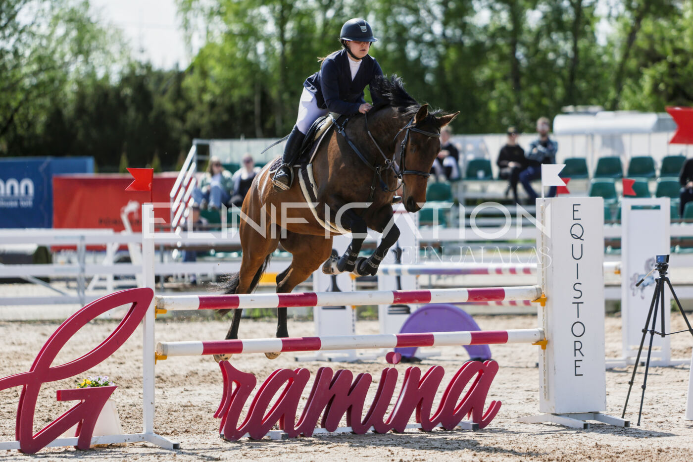 Gramina_Kevad_2026_100_441