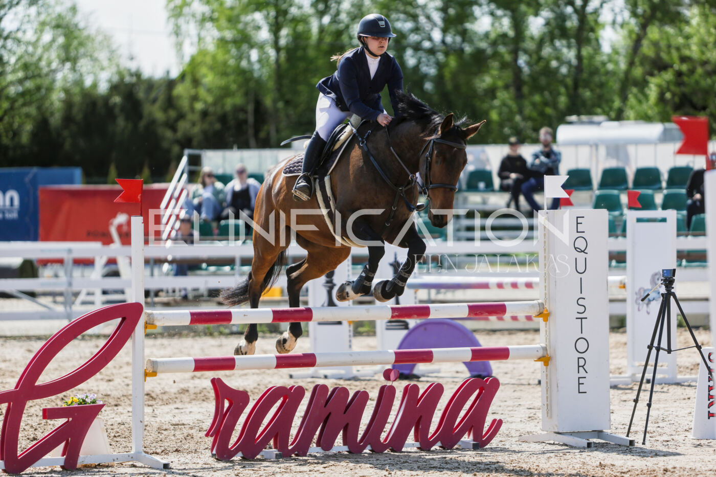 Gramina_Kevad_2026_100_442