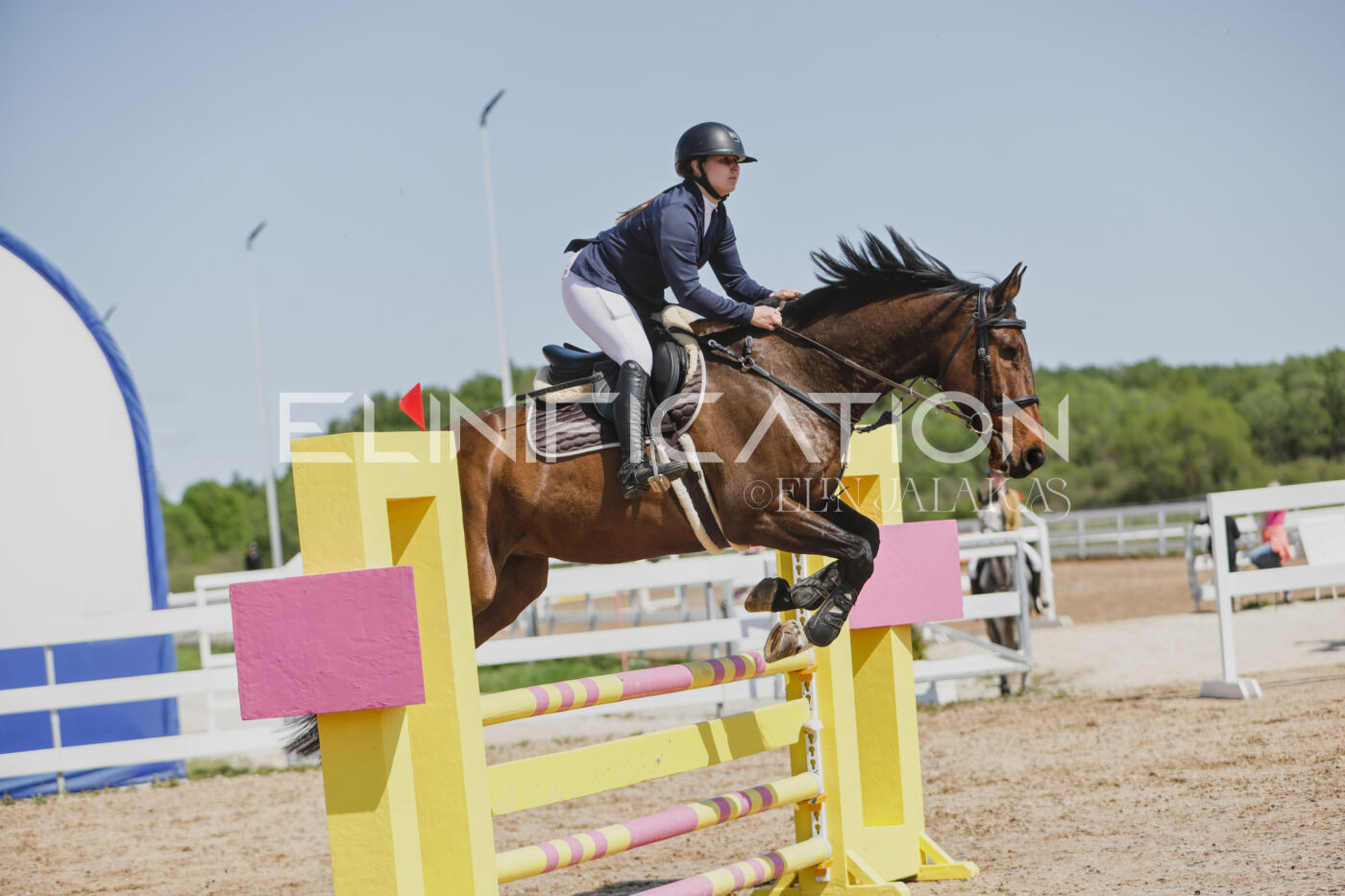Gramina_Kevad_2026_100_444