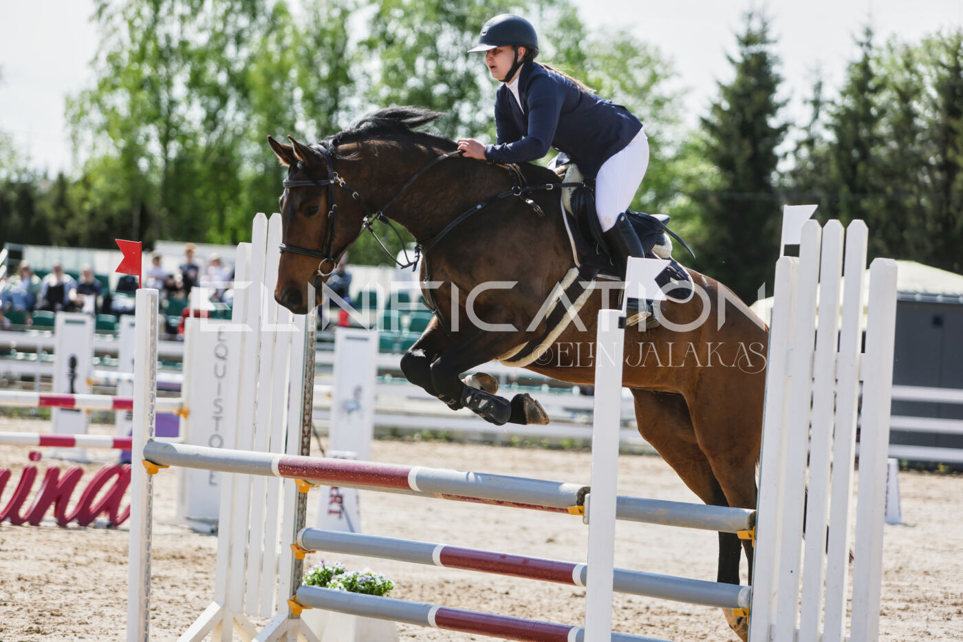 Gramina_Kevad_2026_100_445