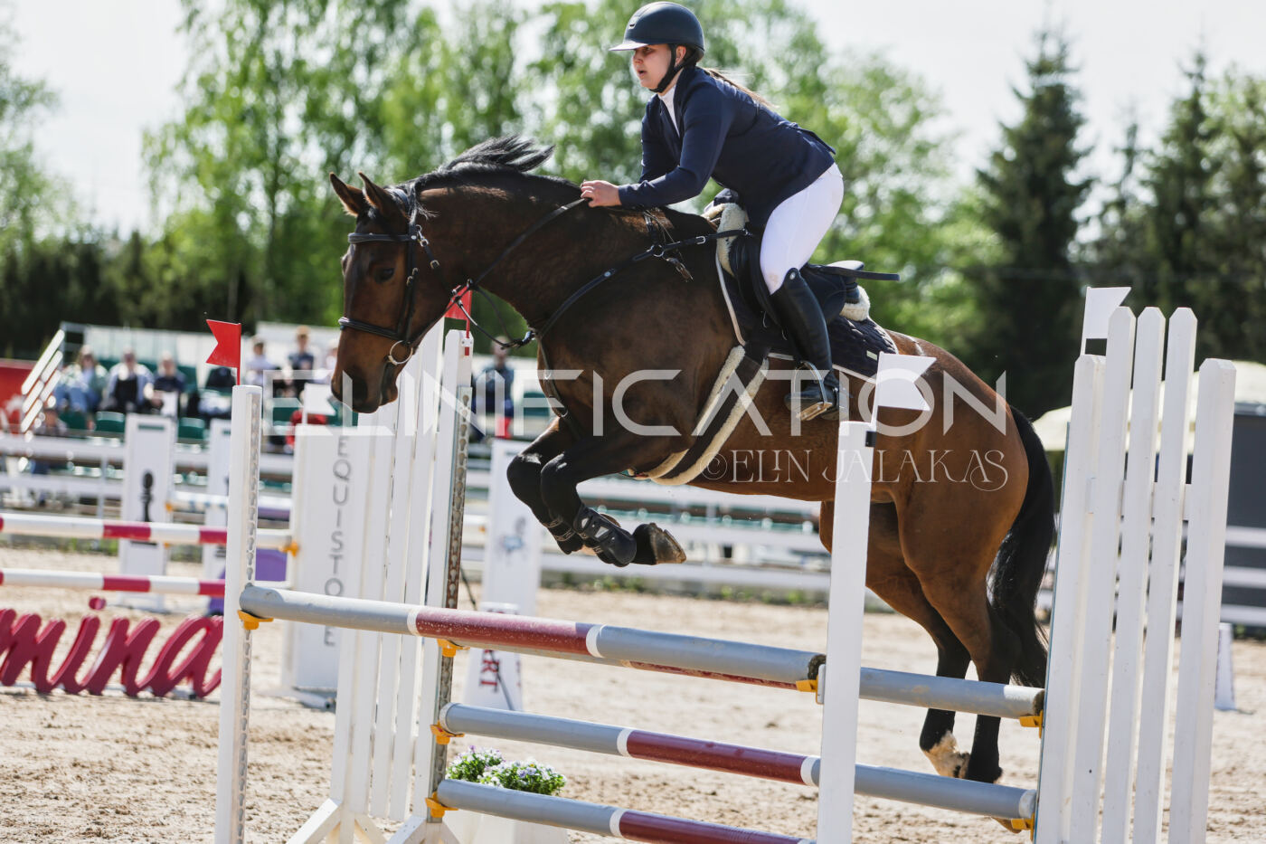 Gramina_Kevad_2026_100_446