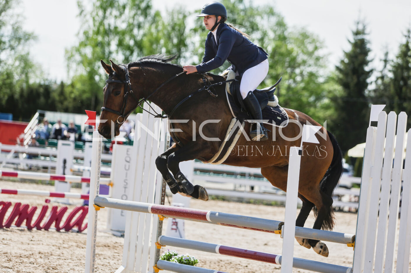 Gramina_Kevad_2026_100_447
