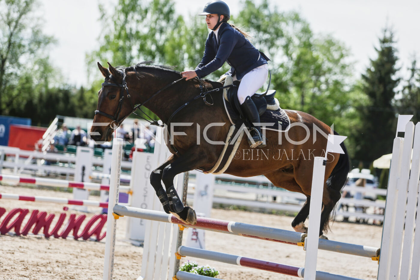 Gramina_Kevad_2026_100_448