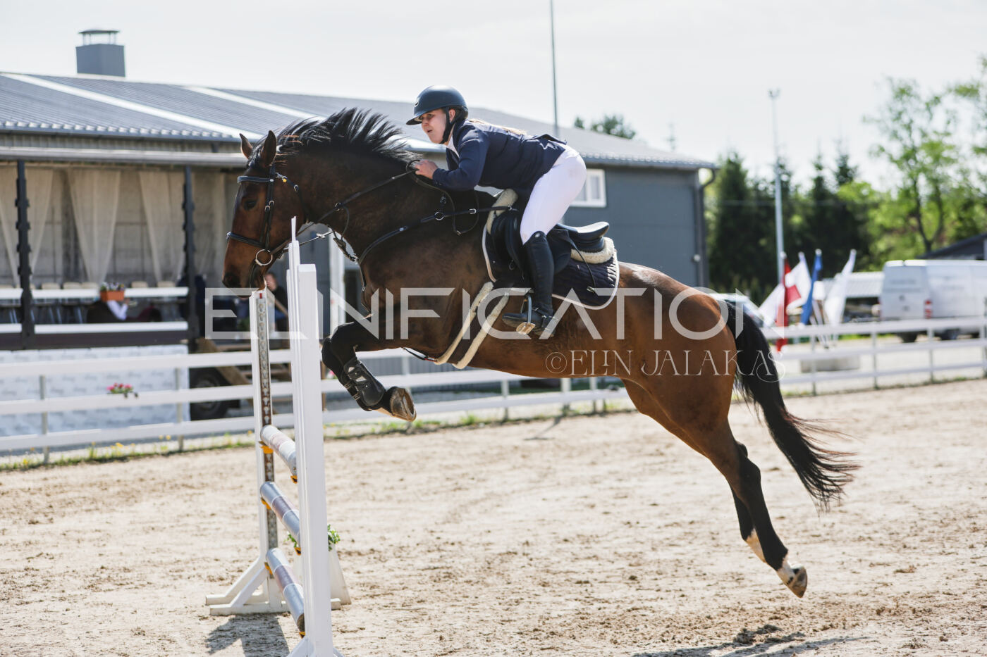 Gramina_Kevad_2026_100_449