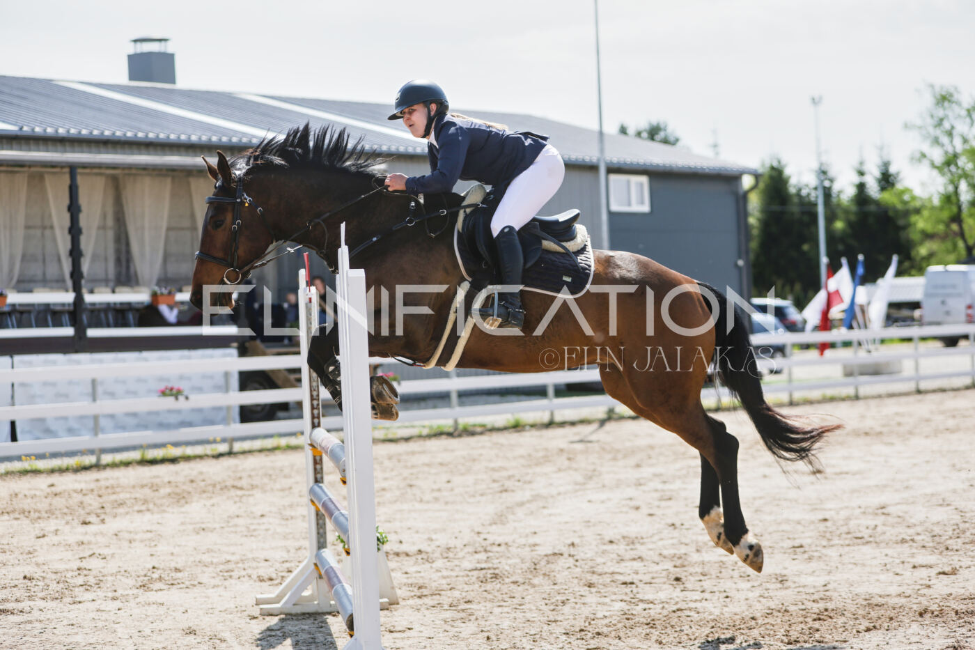 Gramina_Kevad_2026_100_450