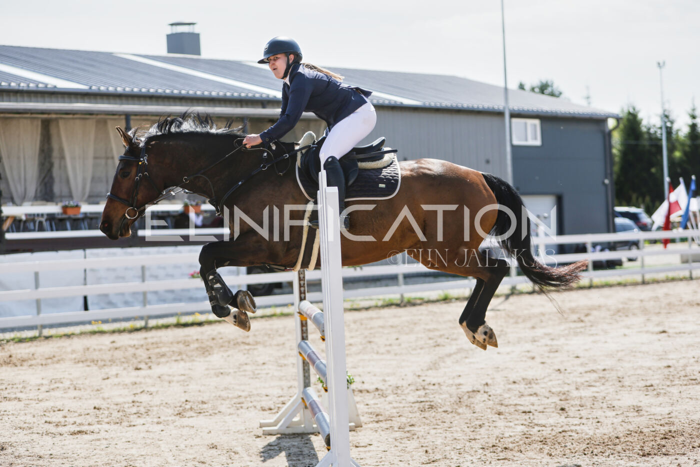 Gramina_Kevad_2026_100_452