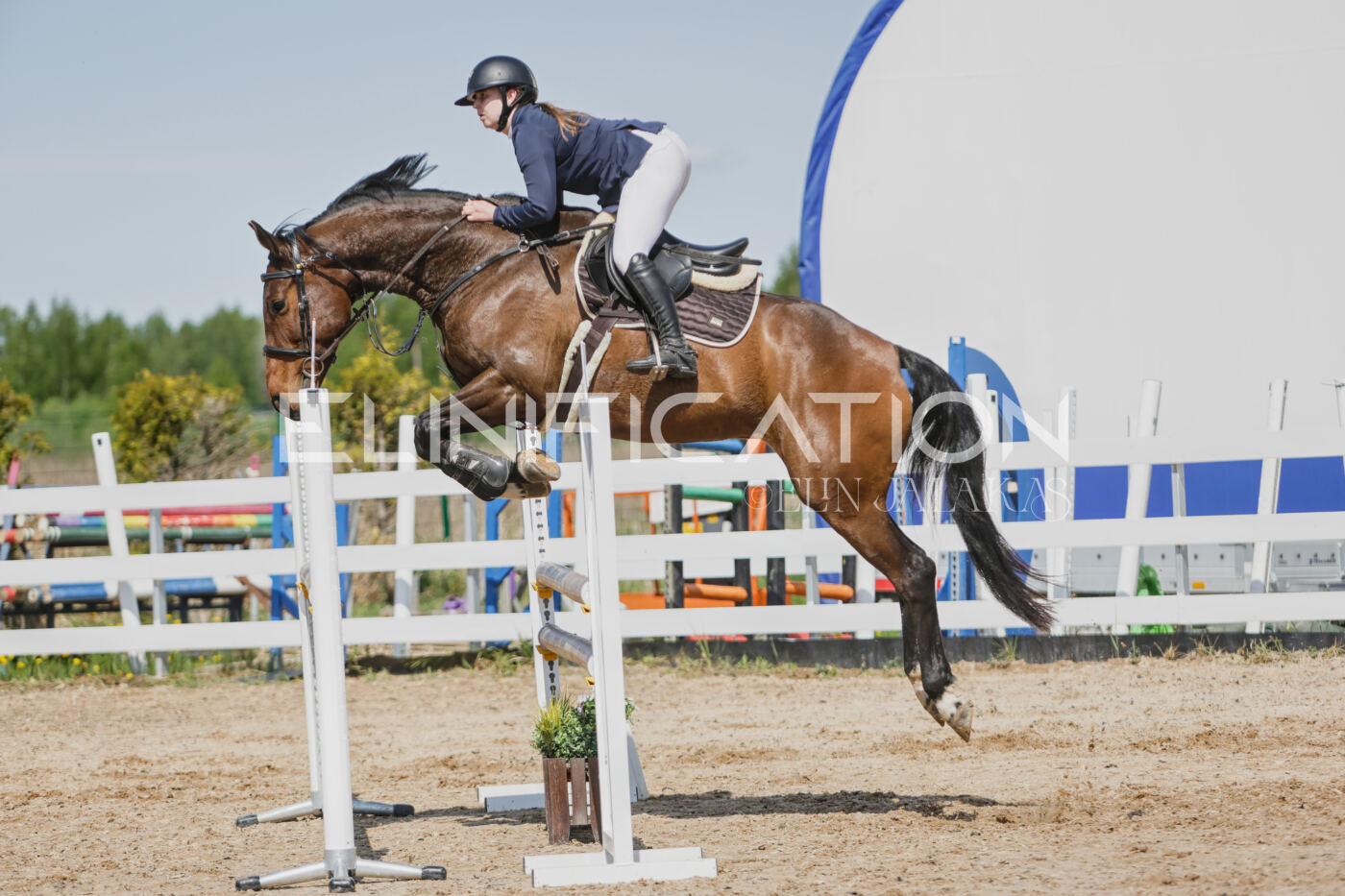 Gramina_Kevad_2026_100_453