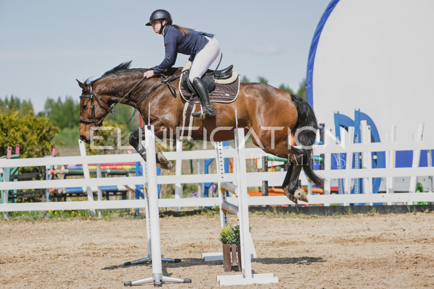 Gramina_Kevad_2026_100_455