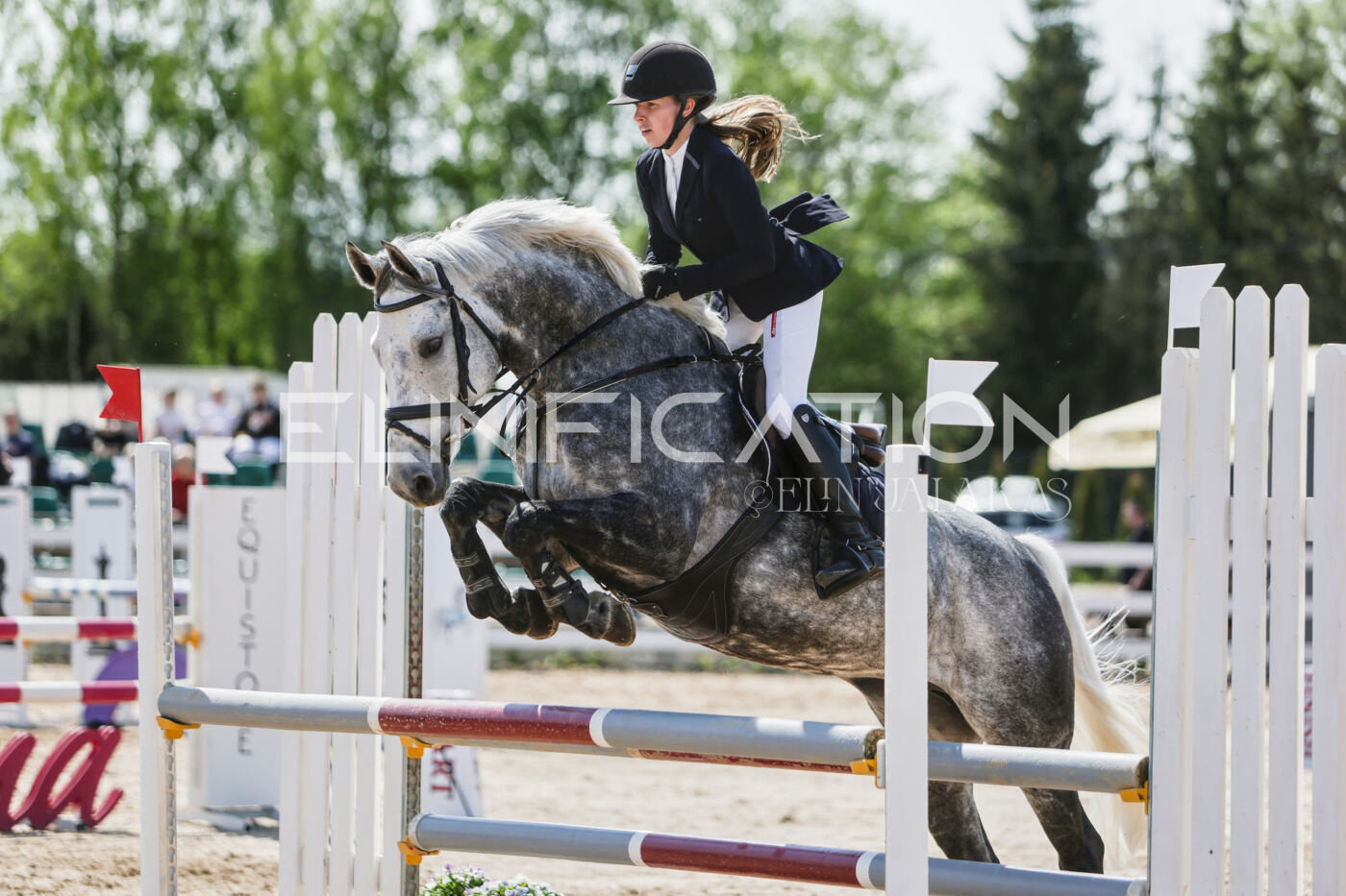 Gramina_Kevad_2026_100_458