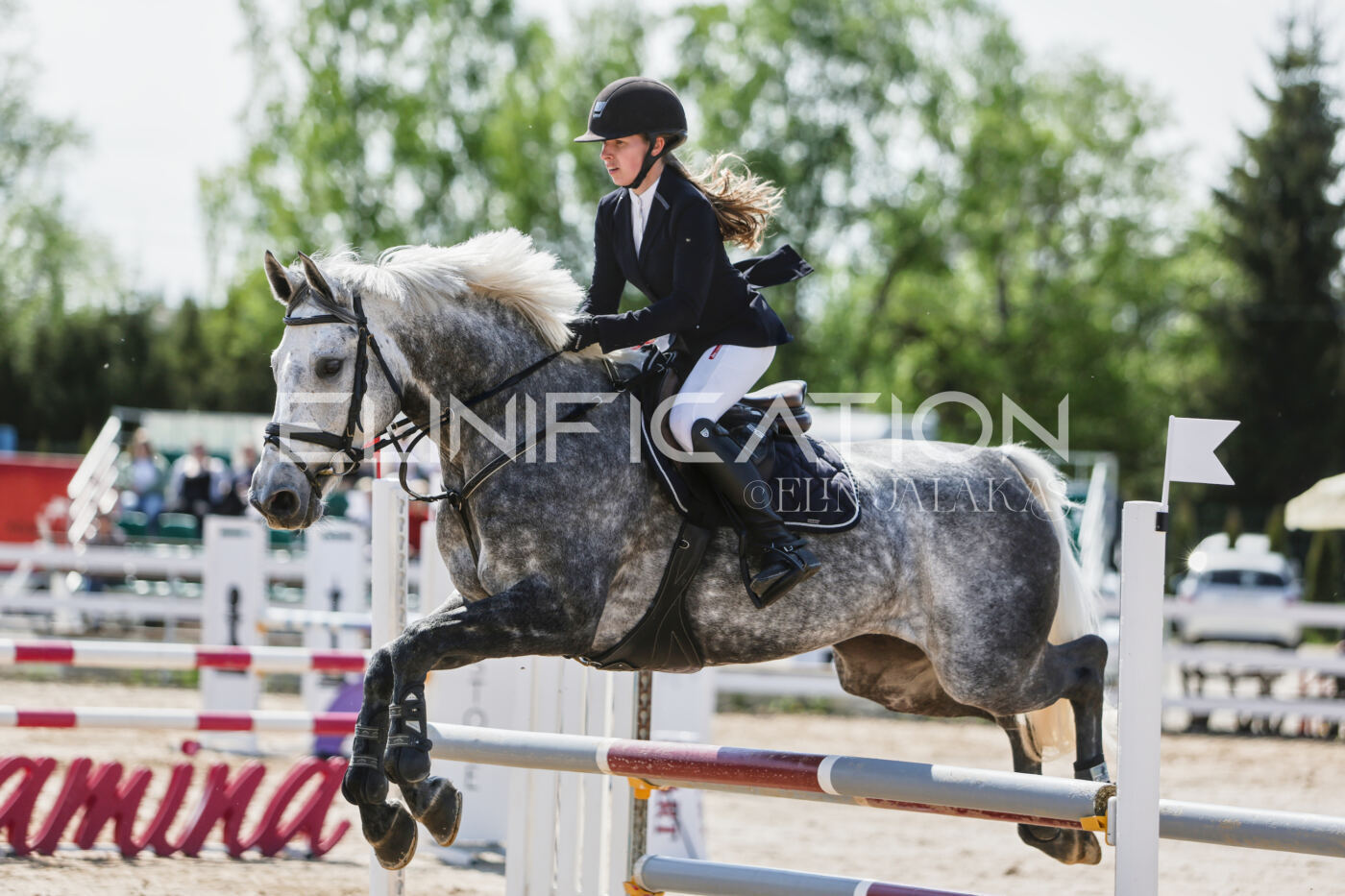 Gramina_Kevad_2026_100_461