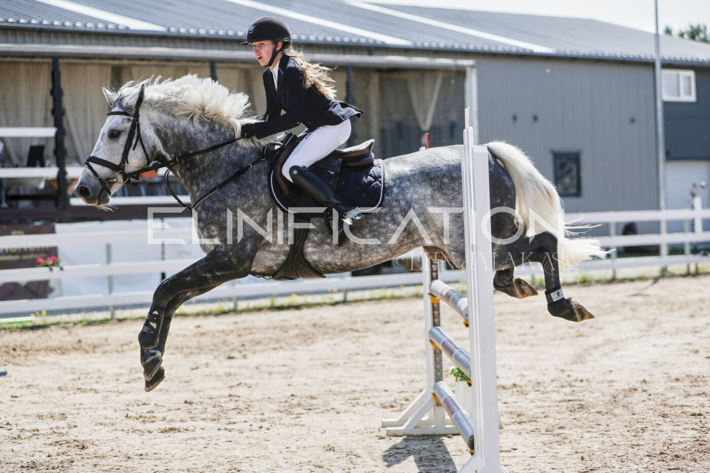 Gramina_Kevad_2026_100_464