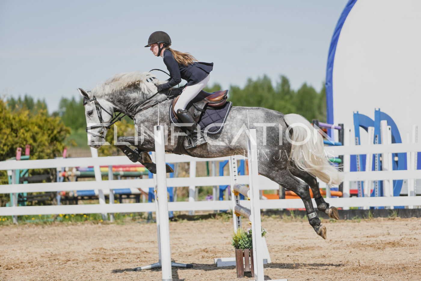 Gramina_Kevad_2026_100_465