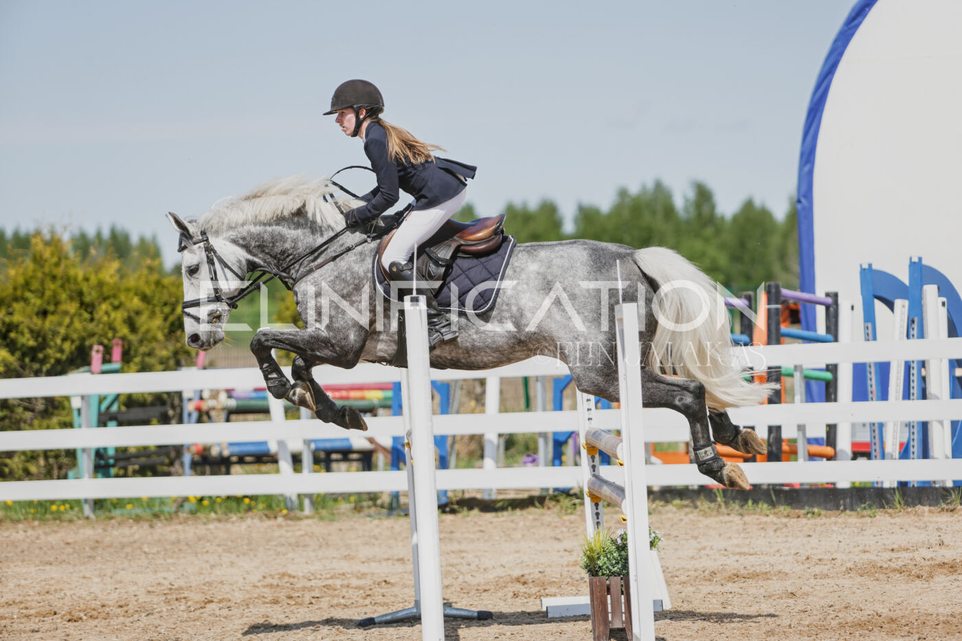 Gramina_Kevad_2026_100_466
