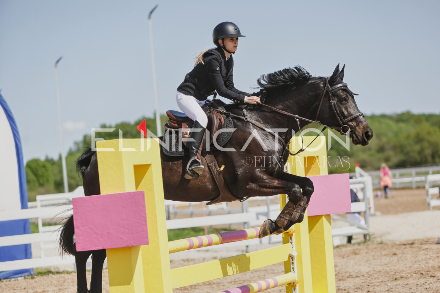 Gramina_Kevad_2026_100_471