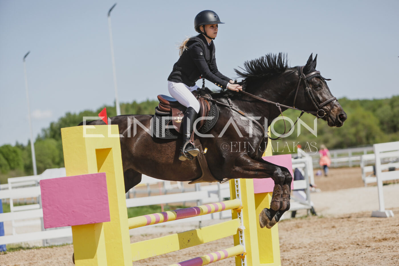 Gramina_Kevad_2026_100_472